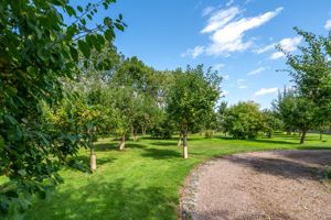 Grounds- click for photo gallery